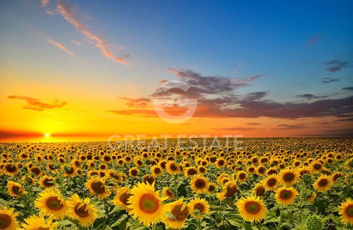 Image No.52-7 Bed Country House for sale