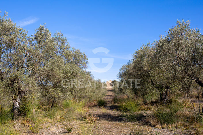 Image No.29-Country House for sale