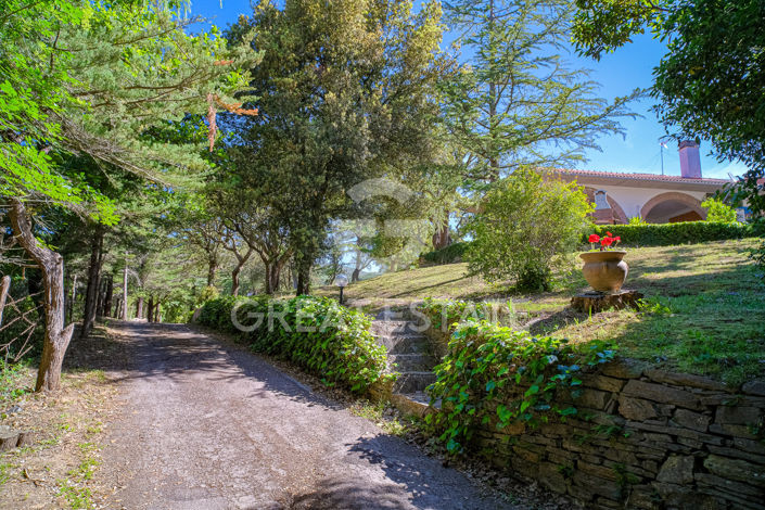 Image No.34-13 Bed Country House for sale