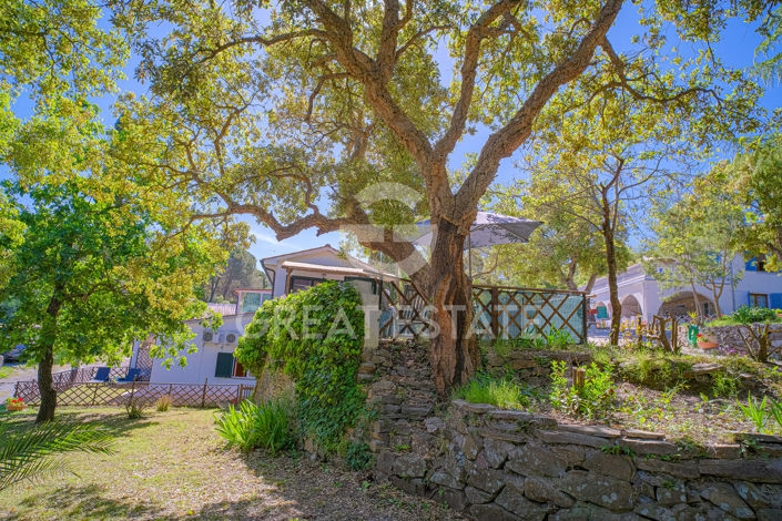 Image No.36-13 Bed Country House for sale