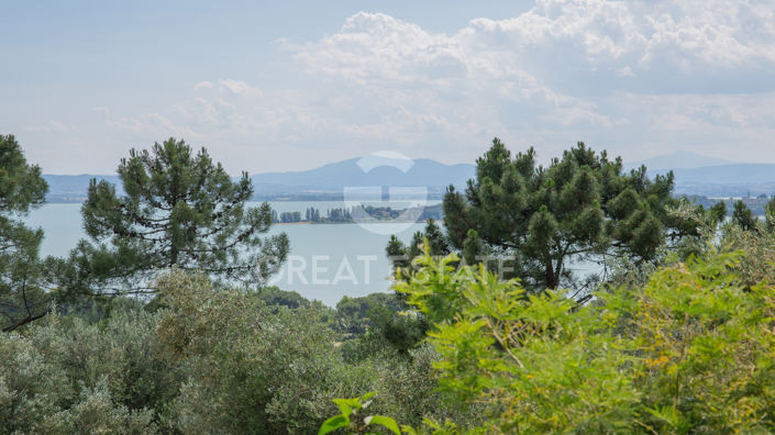 Image No.45-4 Bed Country House for sale