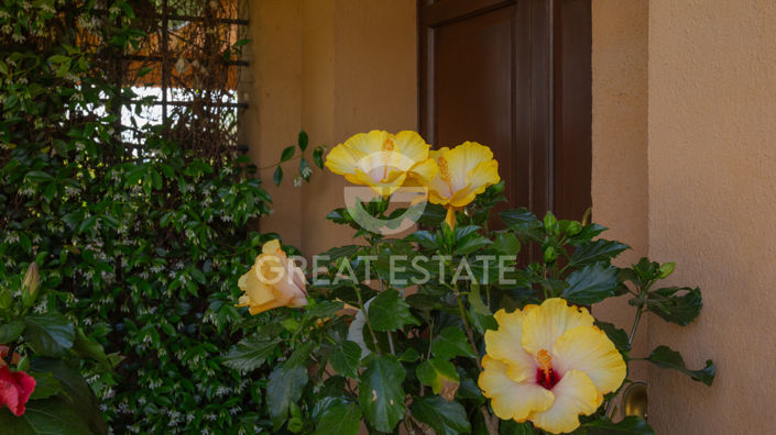 Image No.53-4 Bed Country House for sale