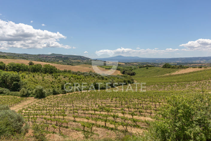 Image No.60-17 Bed Country House for sale