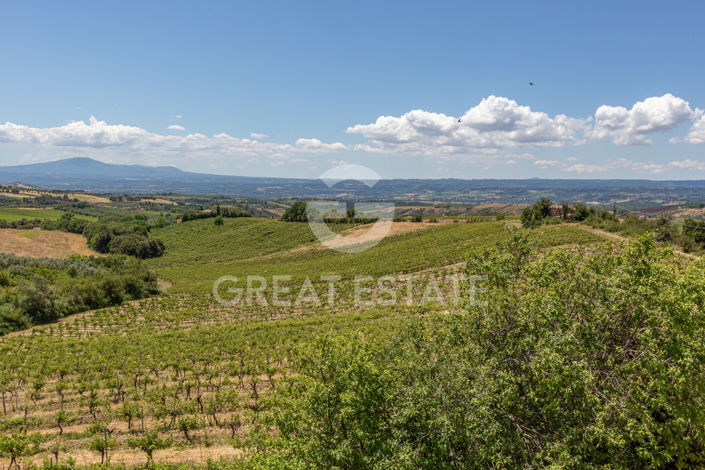 Image No.61-17 Bed Country House for sale