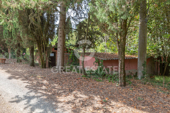 Image No.32-12 Bed Country House for sale