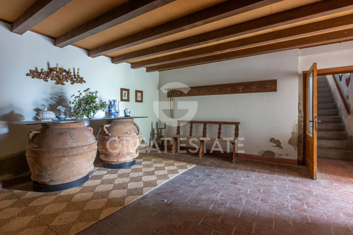 Image No.43-12 Bed Country House for sale