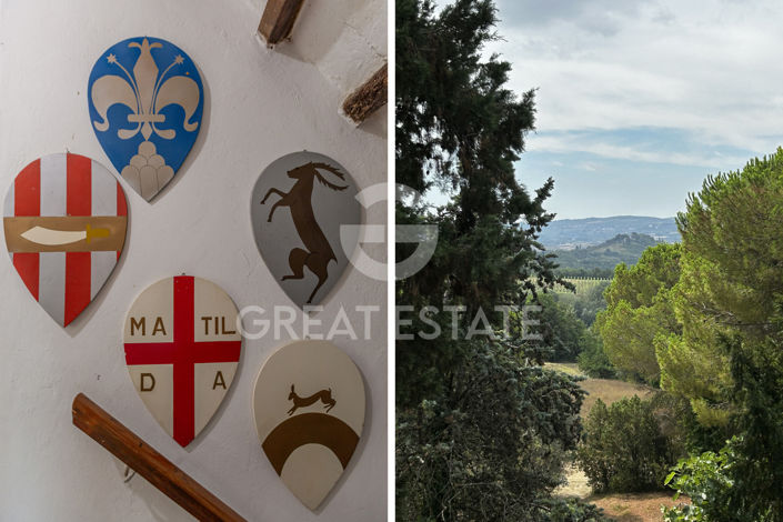 Image No.45-12 Bed Country House for sale