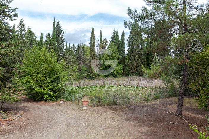 Image No.48-12 Bed Country House for sale