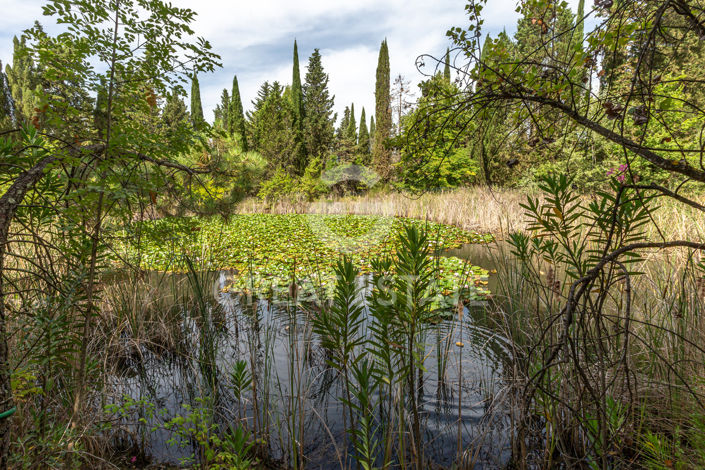 Image No.49-12 Bed Country House for sale