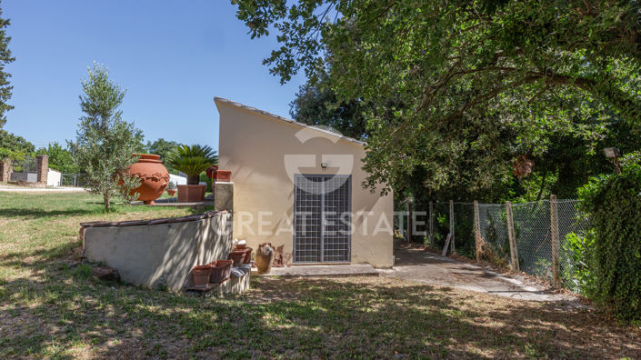 Image No.26-6 Bed Country House for sale