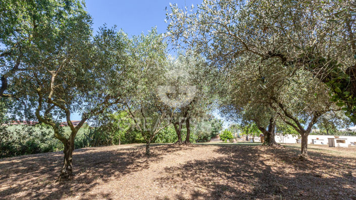 Image No.27-6 Bed Country House for sale