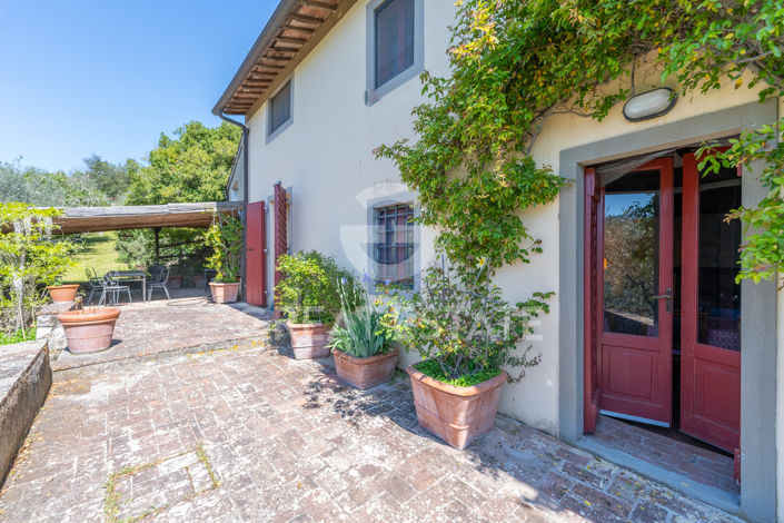 Image No.11-6 Bed Country House for sale