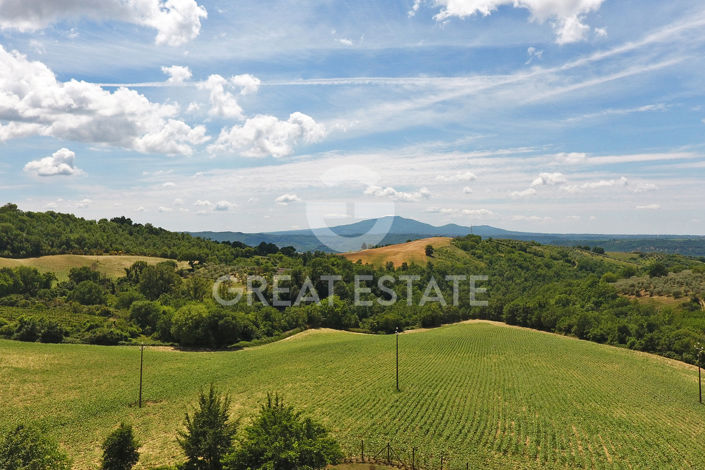 Image No.43-7 Bed Country House for sale