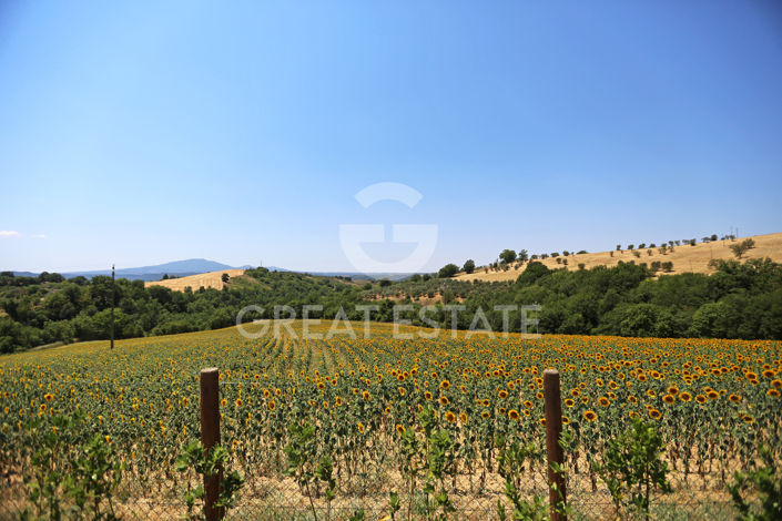 Image No.46-7 Bed Country House for sale