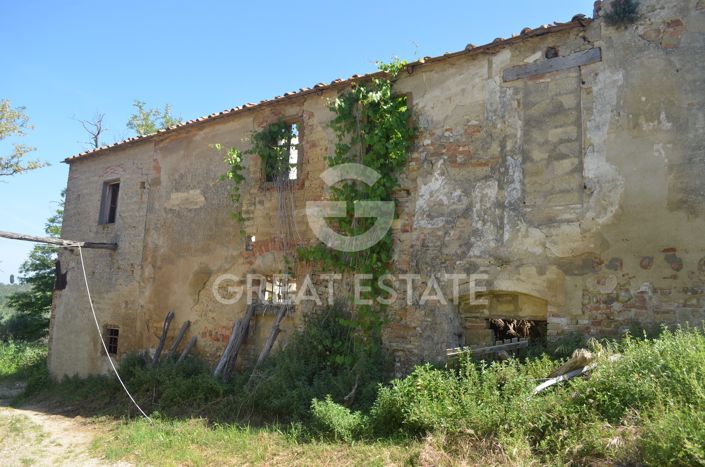 Image No.4-Vineyard for sale