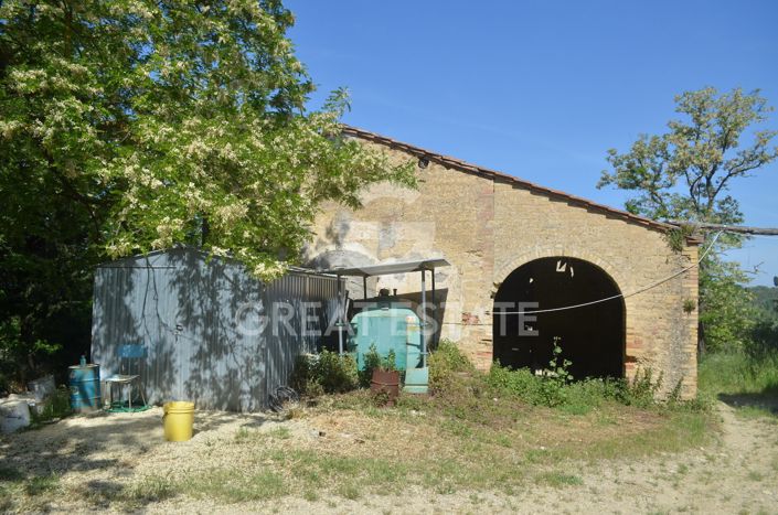 Image No.5-Vineyard for sale