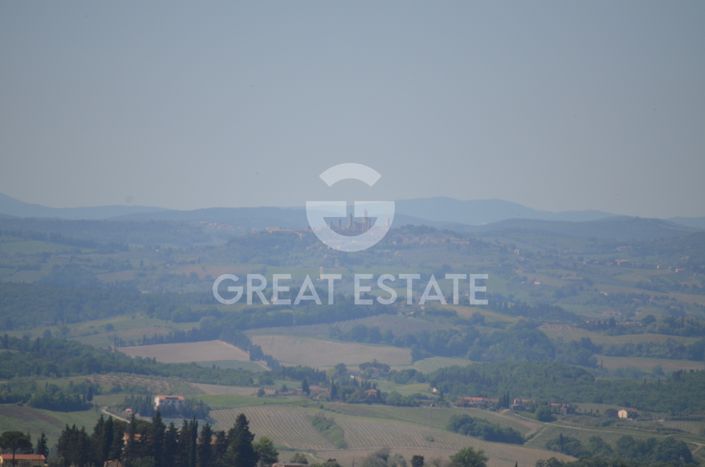 Image No.7-Vineyard for sale