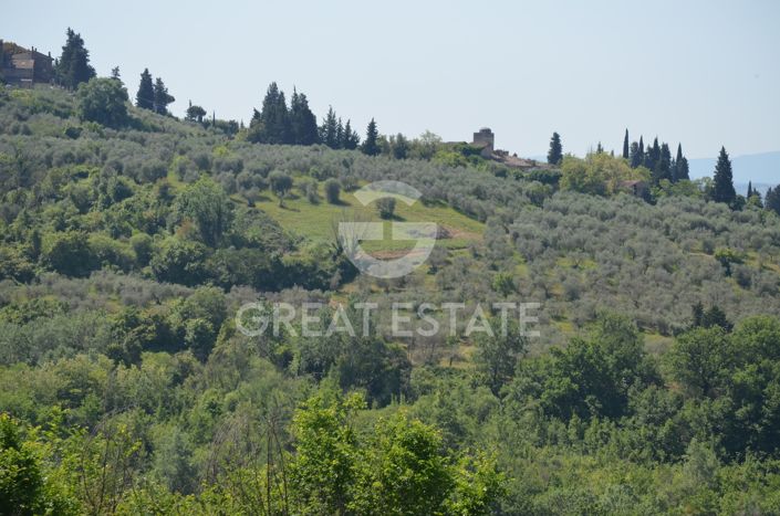 Image No.9-Vineyard for sale