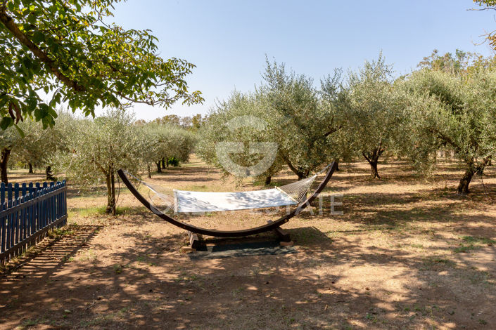 Image No.25-10 Bed Country House for sale