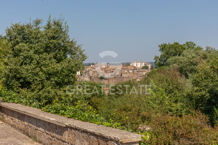 Image No.58-10 Bed Country House for sale