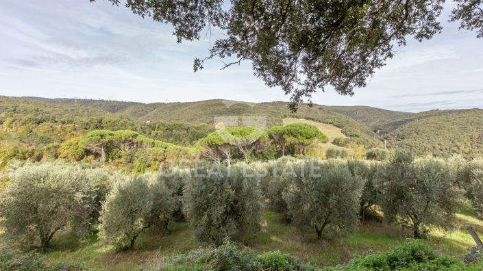 Image No.20-4 Bed Country House for sale