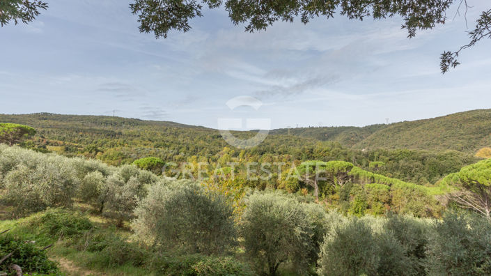 Image No.21-4 Bed Country House for sale