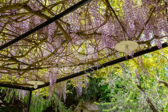 Image No.20-Villa de 5 chambres à vendre à Cetona