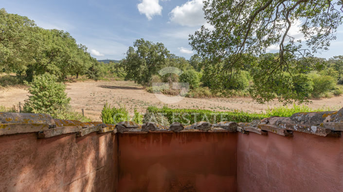 Image No.25-5 Bed Country House for sale