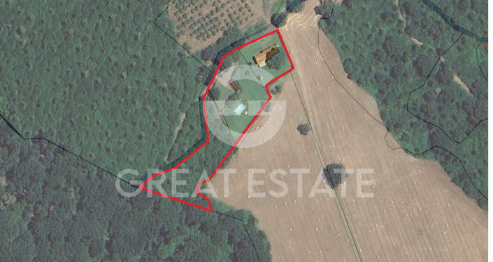 Image No.2-floorplan-2