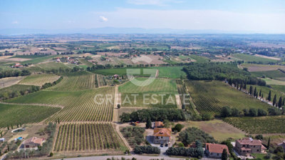 vendesi-rustico-casale-in-toscana-siena-monte