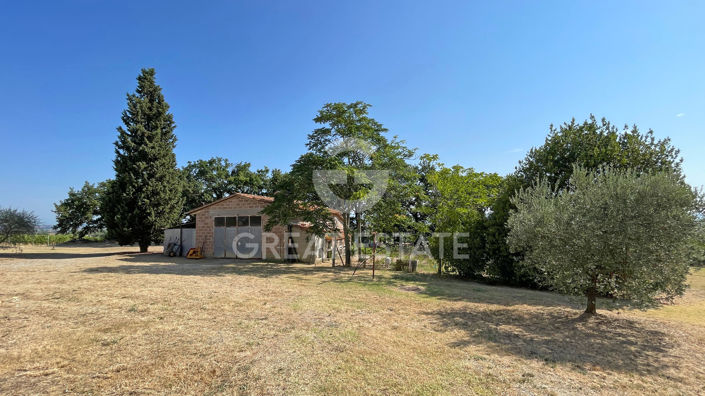 Image No.13-5 Bed Vineyard for sale