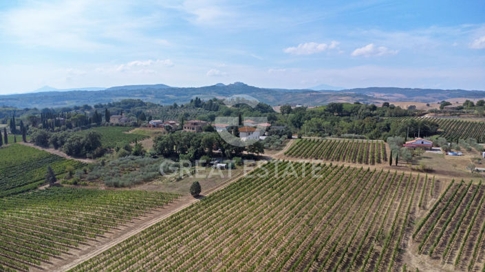 Image No.15-5 Bed Vineyard for sale