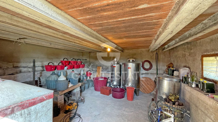 Image No.26-5 Bed Vineyard for sale