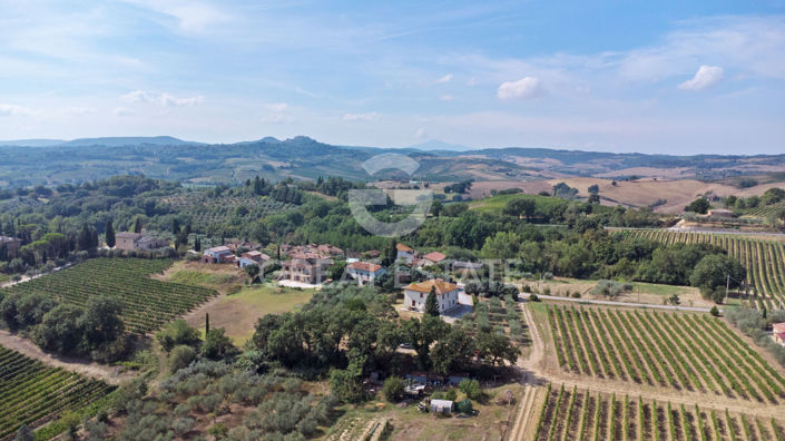 Image No.28-5 Bed Vineyard for sale