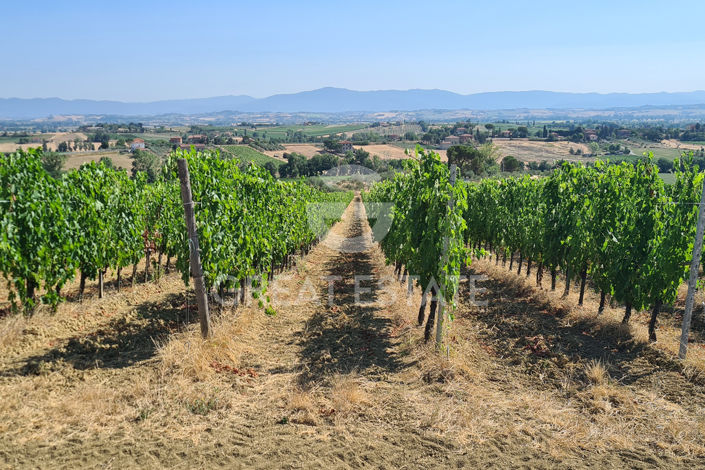 Image No.29-5 Bed Vineyard for sale