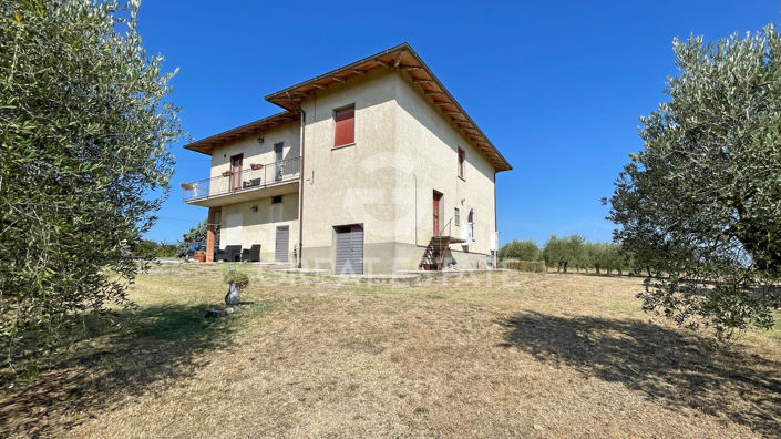 Image No.9-5 Bed Vineyard for sale