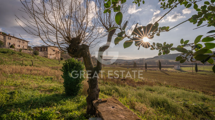Image No.26-Maison de campagne de 8 chambres à vendre à Sienne