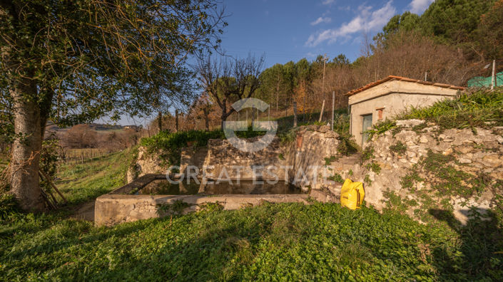 Image No.27-Maison de campagne de 8 chambres à vendre à Sienne