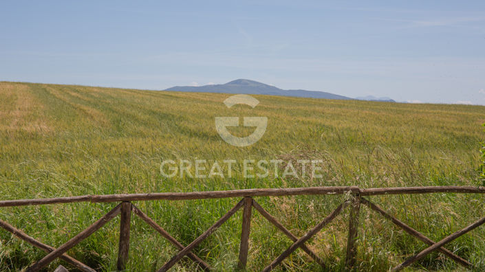 Image No.47-5 Bed Country House for sale