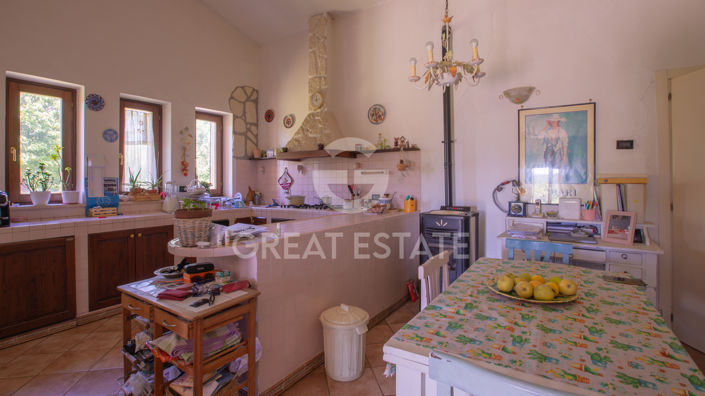 Image No.48-5 Bed Country House for sale