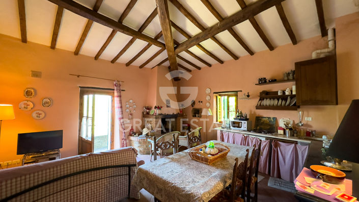 Image No.21-10 Bed Country House for sale