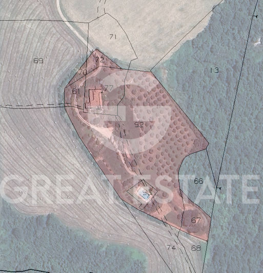 Image No.1-floorplan-1