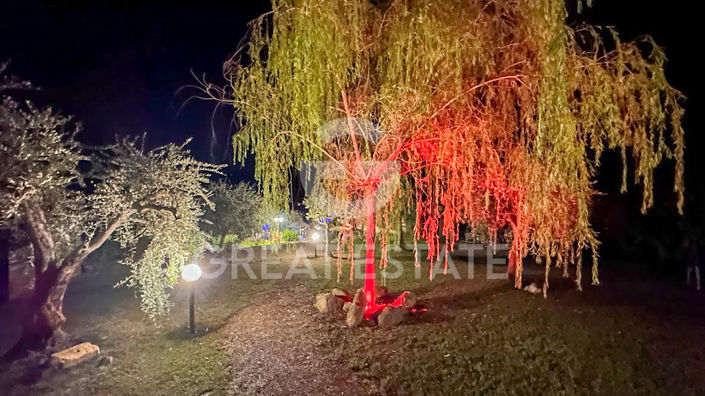 Image No.26-1 Bed Country House for sale