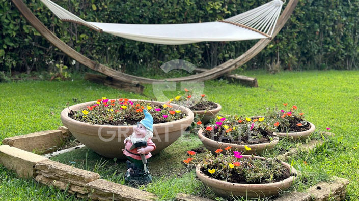 Image No.52-1 Bed Country House for sale