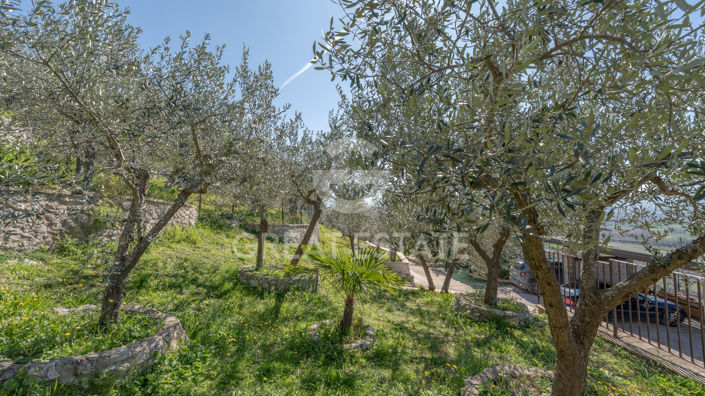 Image No.21-4 Bed Country House for sale