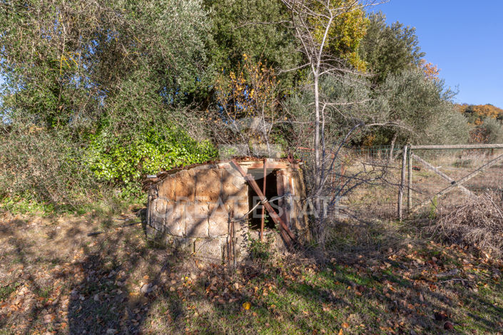 Image No.22-3 Bed Country House for sale