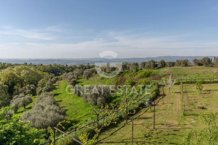 Image No.47-3 Bed Country House for sale