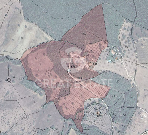 Image No.2-floorplan-2