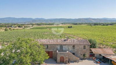 vendesi-rustico-casale-in-toscana-arezzo-cort