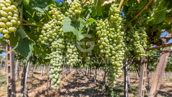 Image No.12-2 Bed Country House for sale